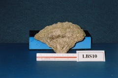 6364650-R1-050-23A