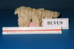 6364650-R2-028-12A