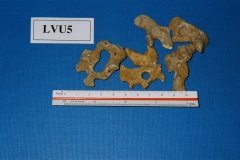 6364650-R2-036-16A