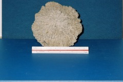6364650-R3-022-9A