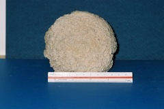 6364650-R3-024-10A