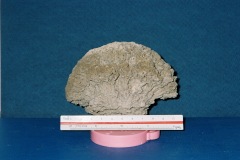 6364650-R3-026-11A