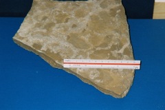 6364650-R3-030-13A