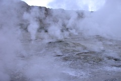 DSCN5120