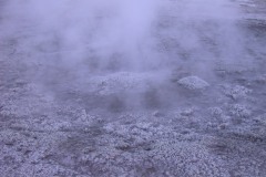 DSCN5121