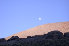 DSCN5133