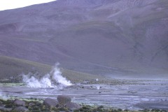 DSCN5135