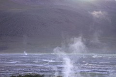 DSCN5137