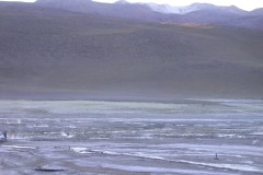DSCN5139