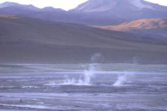 DSCN5140