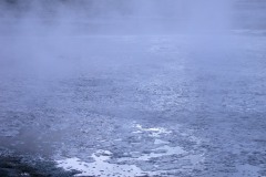 DSCN5151