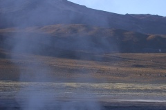 DSCN5152