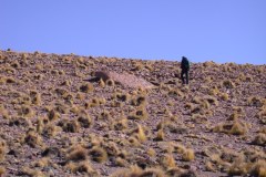DSCN5172