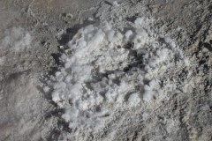 DSCN5175