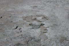 DSCN5329
