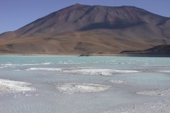 DSCN5354