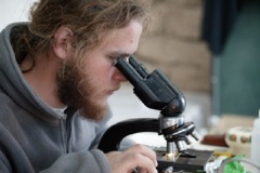Microbiology (7 photos)