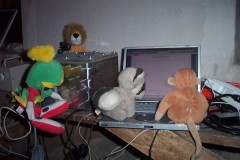 038_-_kids_eldonet