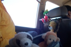 056_-_kids_in_car