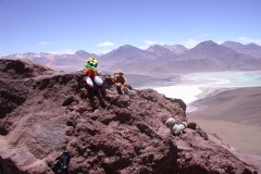 Los_tres_animales