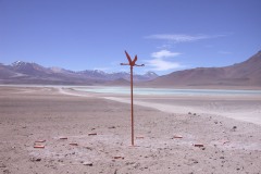 DSCN5229