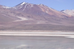 DSCN5269
