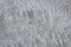 DSCN5413