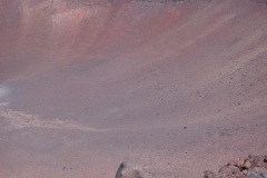 DSCN5417