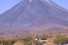 DSCN5201
