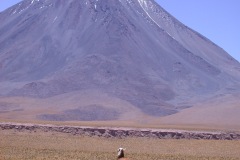DSCN5218
