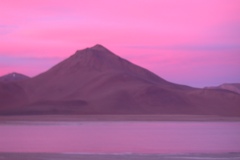 DSCN5267