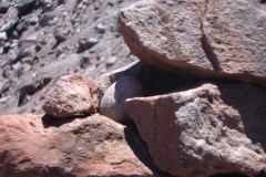 Inca_inscribed_egg_in_cairn