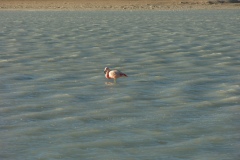 DSCN1366