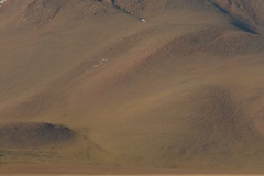 DSCN1368