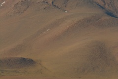 DSCN1371