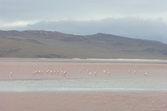 DSCN1731