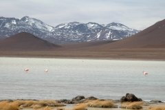 DSC_0200b