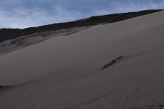 DSCN0878