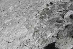 DSCN1108