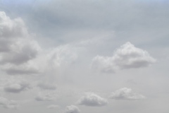 DSC_0354