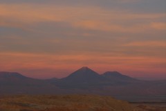 DSCN1031
