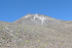 DSCN1406