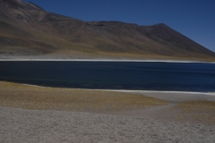 DSC5270