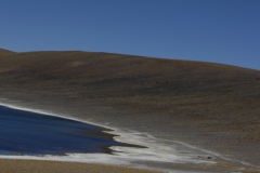 DSC5276