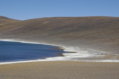 DSC5277
