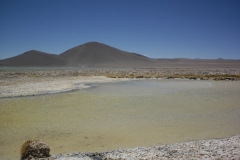 DSC5632