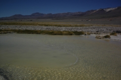 DSC5637