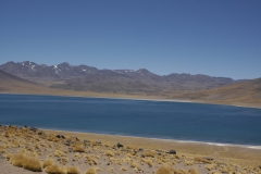 DSC5212