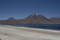 DSC5252