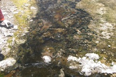CIMG0031